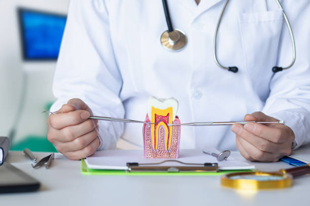 Best Emergency Orthodontic Repairs in Waycross, GA